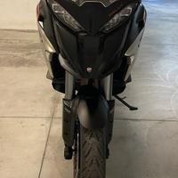 Multistrada v4 rally 2024