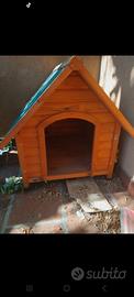 Cuccia x cani