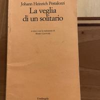 La veglia di un solitario Pestalozzi
