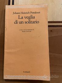 La veglia di un solitario Pestalozzi