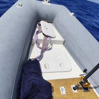 Gommone Bwa California 550 + Suzuki 40 cv 2024