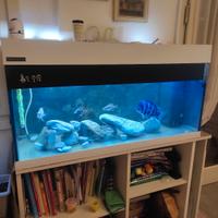 Acquario ferplast Dubai 100
