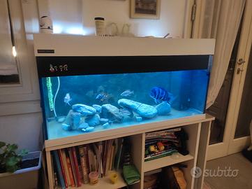 Acquario ferplast Dubai 100