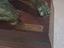 Immagine 3