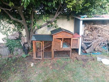 Galline e pollaio