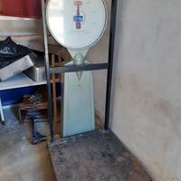 Bilancia bilico BERKEL mod. 2011