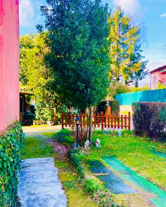 3 Locali DI 104 MQ CON GIARDINO, ORTO, BOX E CANT