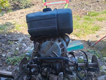 Motozappa Lampacrescia 