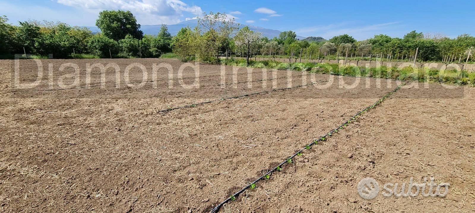 Terreno con rustico a Castiglione di Sicilia - Vista 3