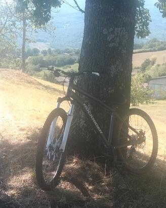 Rockrider st120