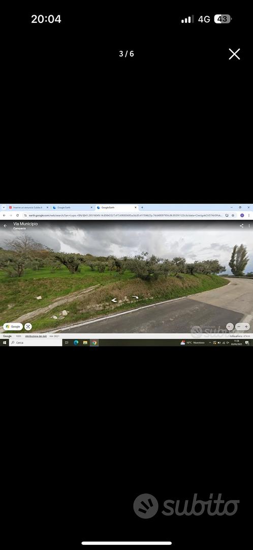 Terreno con piante di ulivo secolari edificabile - Vista 5