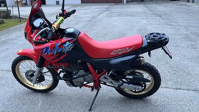 Dominator Honda 650