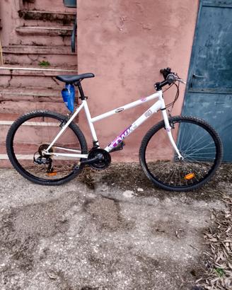 Mountain bike 