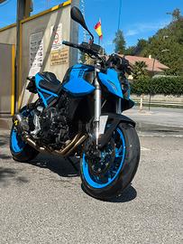 Suzuki Gsx-8s