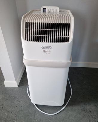 pinguino delonghi compact