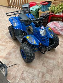 Mini quad 125 da sistemare