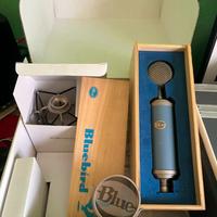 Microfono da Studio Blue Bluebird