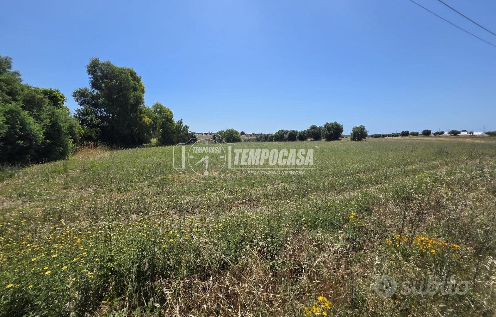 Terreno agricolo - Vista 2