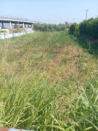 Terreno 1220 mq Pianeggiante ad Angri via campia