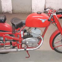 Cm 125 - 1954