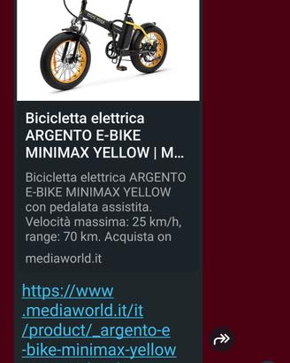 bicicletta elettrica argento e-bike minimax
