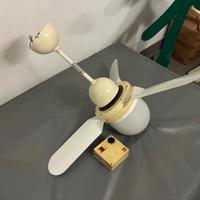 Pala/ventilatore da soffitto