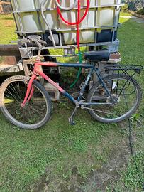 Bicicletta mtb 18 rapporti 26 pollici