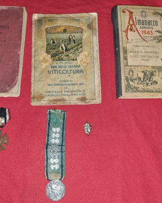 mondo contadino Trentino d'epoca-Regio- fascio ww2