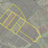 Terreno Agricolo - Presicce-Acquarica