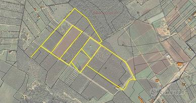 Terreno Agricolo - Presicce-Acquarica