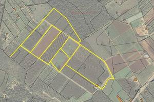 Terreno Agricolo - Presicce-Acquarica