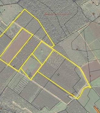 Terreno Agricolo - Presicce-Acquarica