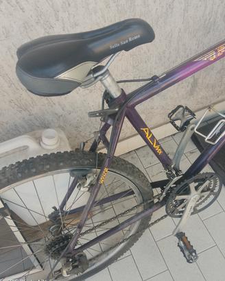 bicicletta 