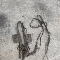 Cavezza per cavalli.