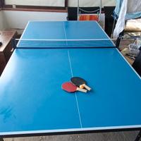 Ping Pong NUEVA - Indoor/Outdoor - Pieghevole 