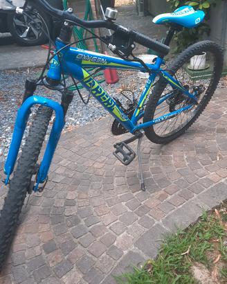 biciclette bambini