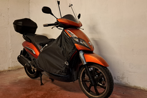 Peugeot Geopolis 300