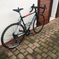 Bici corsa Bottecchia