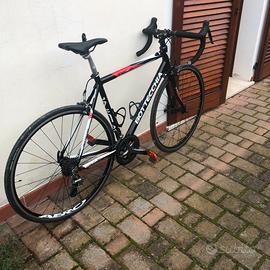 Bici corsa Bottecchia