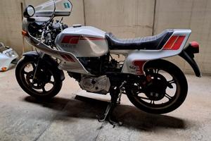 Ducati Pantah 600 da restauro