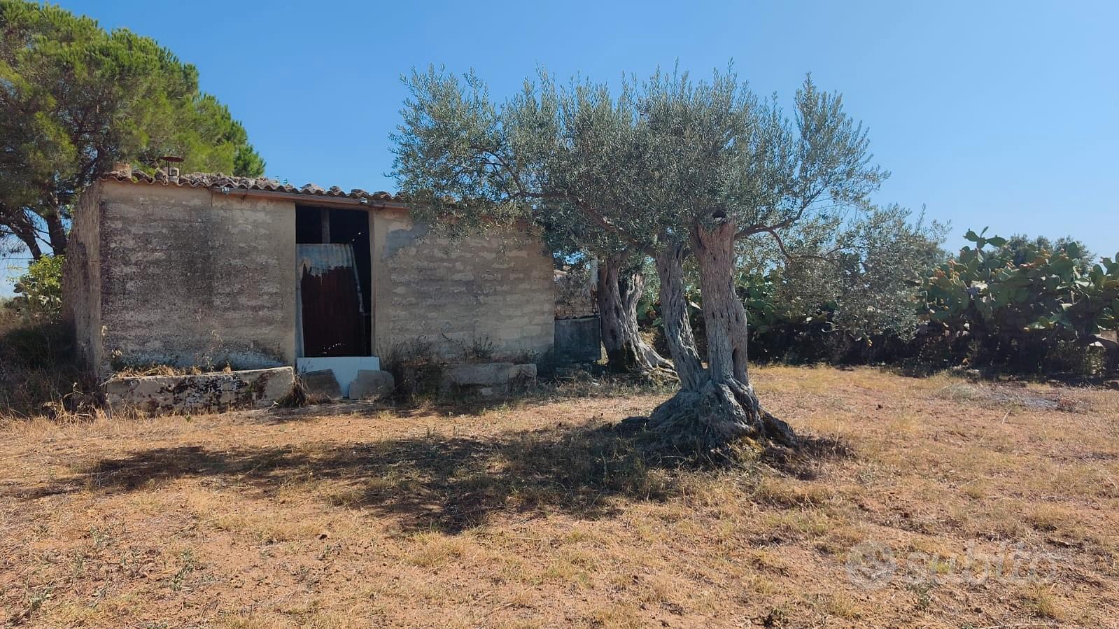terreno agricolo - Vista 2