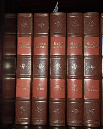 Enciclopedia Motta con Sonobox