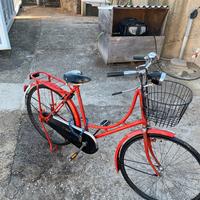 Bicicletta Olandese in buone condizioni
