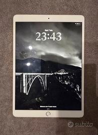 I pad air 256 gb 2019 con caricatore e cover