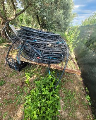 irrigazione  a goccia