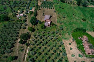 Rustico bifamigliare con terreno annesso