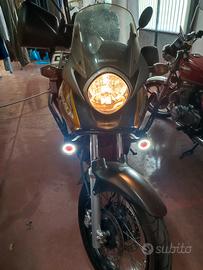 Transalp tenuta con cura 