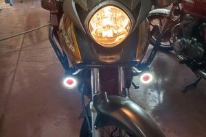 Transalp tenuta con cura 