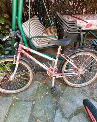 Mountain bike raggio 24 da sistemare 