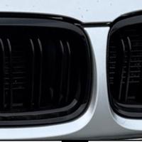 Griglia bmw serie 3 e90/91